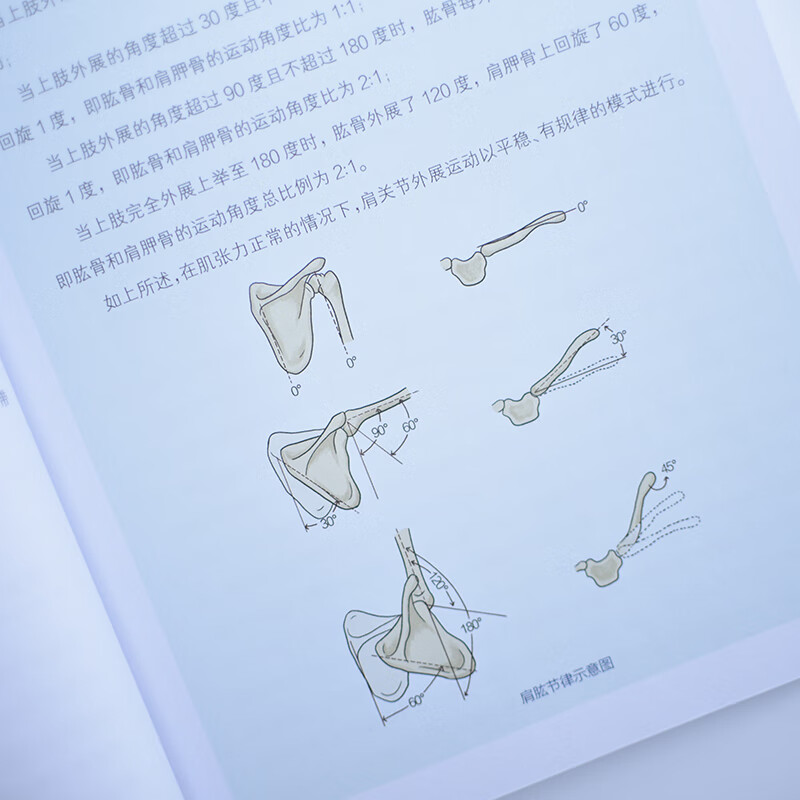 [醉染正版]正版 肩关节功能强化训练 预防损伤、缓解慢性疼痛与提升运动表现 闫琪 家庭保健 人民邮电出版社 9787高清大图
