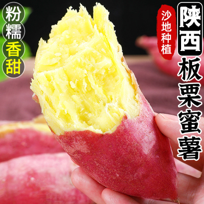 【西沛生鲜】陕西正宗板栗薯 净重4.5斤 小果 新鲜小香薯蜜薯桥头地瓜农家自种沙地板栗薯