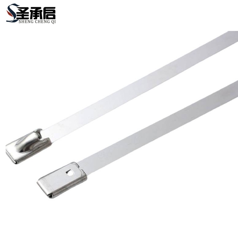 圣承启 固定扎带 10*450mm根