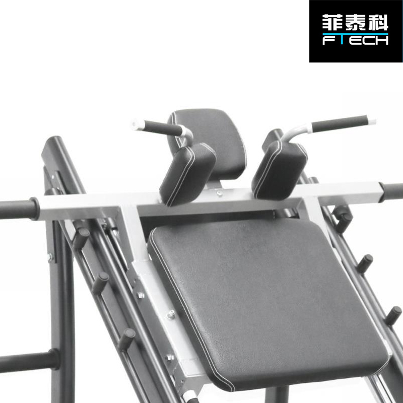 菲泰科商用深蹲训练器PL689高清大图