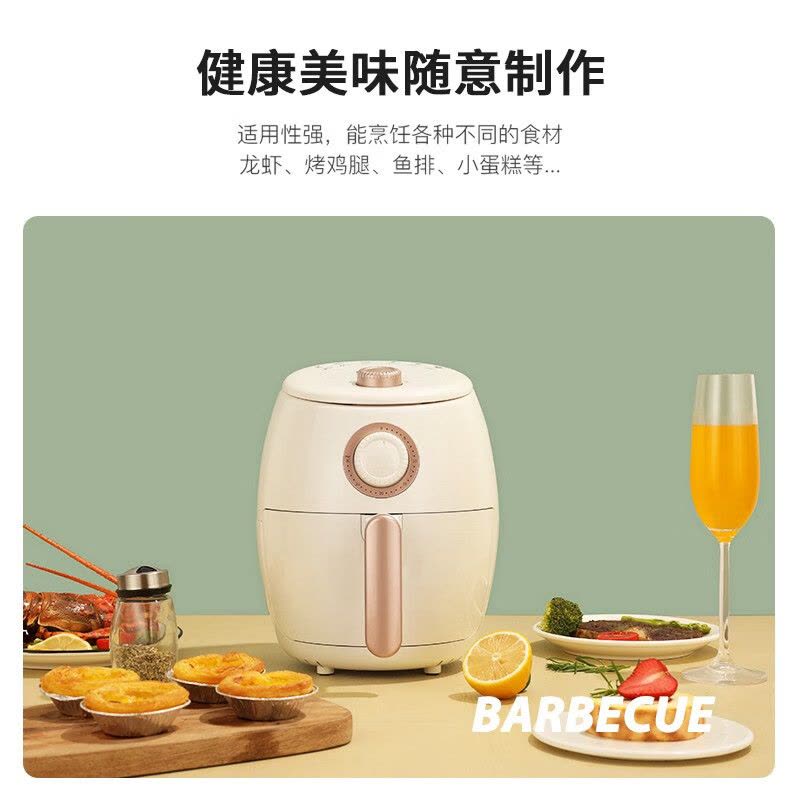 龙的(Longde)LD-KL231空气炸锅低油炸空气炸烤箱薯条机图片