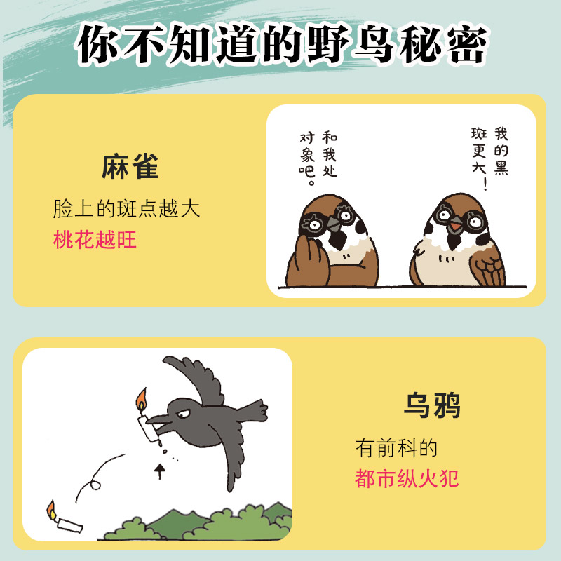 [正版]小鸟二三事 揭秘83种鸟类的行为特征 鸟类图鉴书 鸟类观察手册科普读物鸟类自然科学高清大图