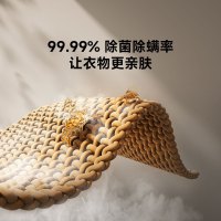 小米米家手持挂烫机2 折叠挂烫机 蒸汽电熨斗熨烫机 家用便携 除菌除螨 除皱不伤衣MJGTJ02LF