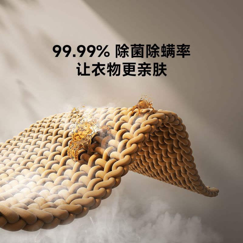 小米米家手持挂烫机2 折叠挂烫机 蒸汽电熨斗熨烫机 家用便携 除菌除螨 除皱不伤衣MJGTJ02LF图片