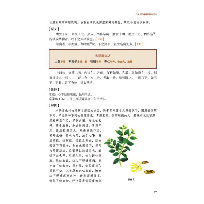 醉染图书彩色图解伤寒论9787557890285高清大图
