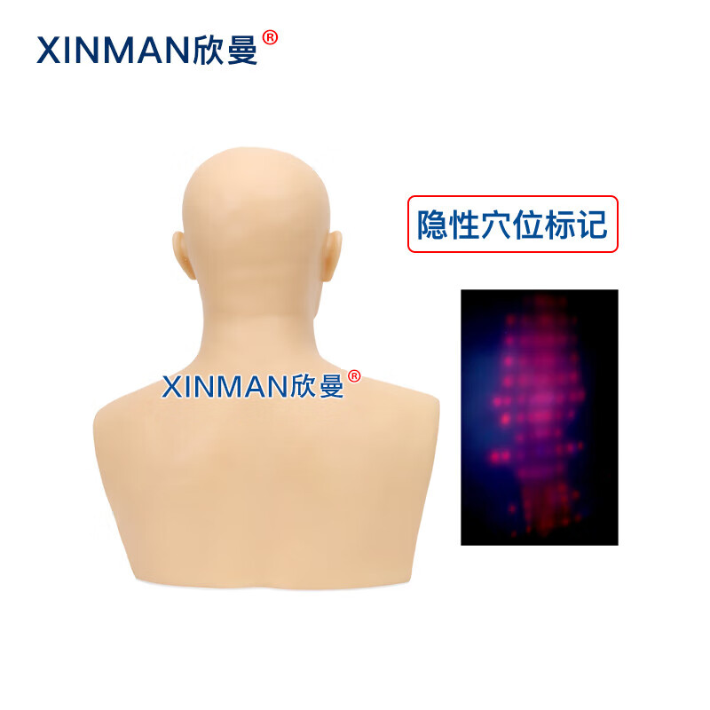 欣曼科教 针灸头部训练模型 头部针灸针刺扎针练习模型XM-ZC01高清大图