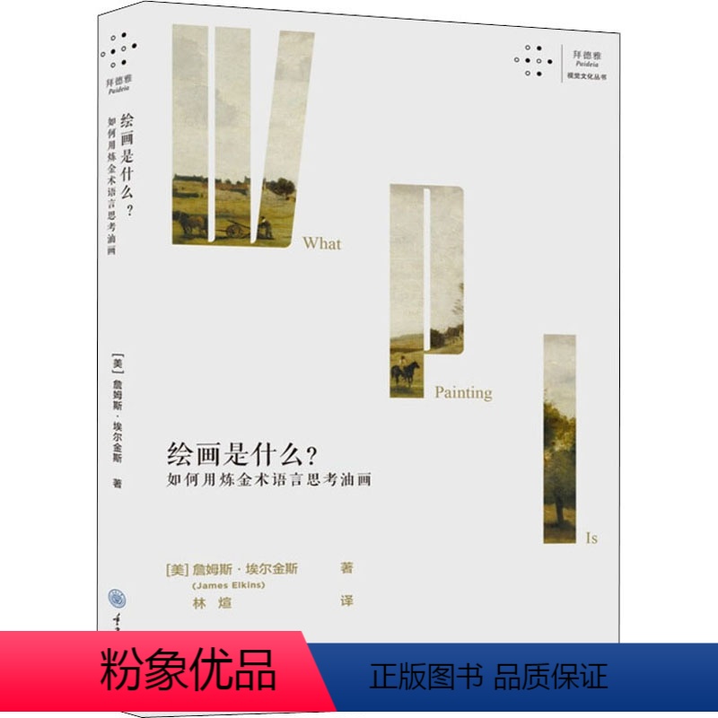 [正版]绘画是什么?如何用炼金术语言思考油画 (美)詹姆斯·埃尔金斯 著 林煊 译 绘画(新)艺术 书店图书籍 重庆大