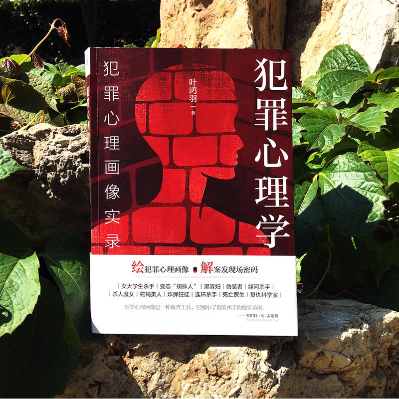 [正版] 犯罪心理学:犯罪心理画像实录 全叶鸿羽 绘犯罪心理画像 解案发现场密码 比雷米小说更惊悚 比高铭的分析更透彻高清大图
