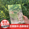 人间存一角 汪曾祺诞辰103周年散文精选特别纪念版 人间有许多事 你细品后便会噗嗤一笑 汪曾祺女儿汪朝亲自编审授权