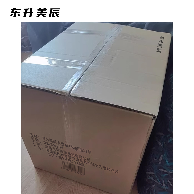 东升美辰 大盘纸450g5层12卷 DS-BH194 箱高清大图