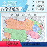 [正版]青海省地图挂图 行政/交通/旅游/河流/机场 详情到村镇中心 1.4X1米竖版装 比例1:106万 办公室家用