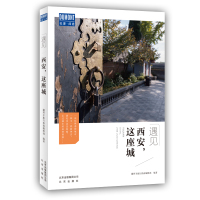 [正版]遇见西安这座城 藏羚羊旅行指南编辑部 国内城市自助旅游指南攻略书 小资生活旅游宝典 旅游文化读物北京出版社