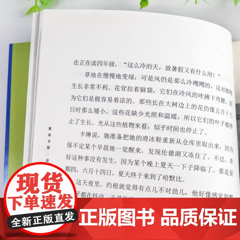 总有一天会长大 夏洛书屋 经典版梅子涵 外国儿童文学经典童话故事 6-8-10-12-15岁青少年中小学生课外读物书籍上高清大图