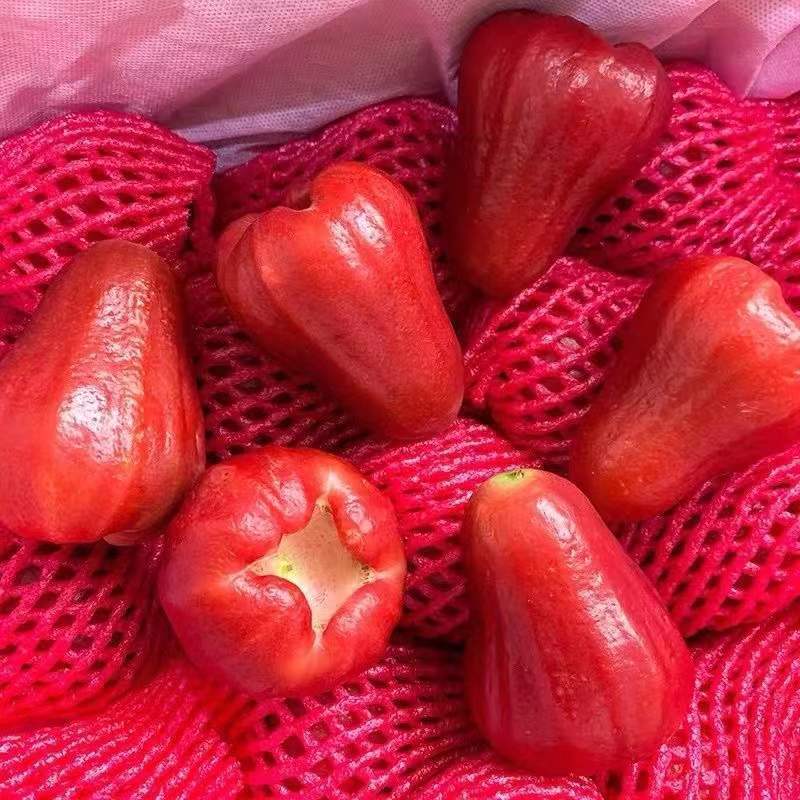 海南黑金刚莲雾5斤装带箱精选果新鲜水果生鲜陈小四水果