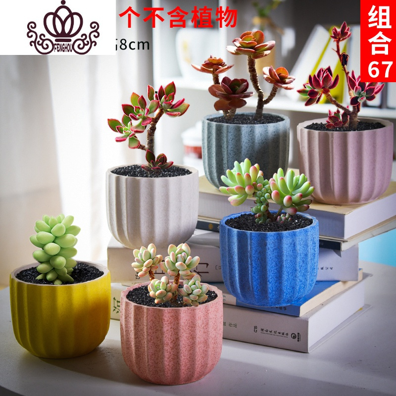 封后 Fenghou 园艺用品封后多肉花盆套装组合创意个性简约植物盆器室内肉肉花盆批发如图款式11 中等花盆 容器 价格图片品牌报价 苏宁易购战狼家居专营店