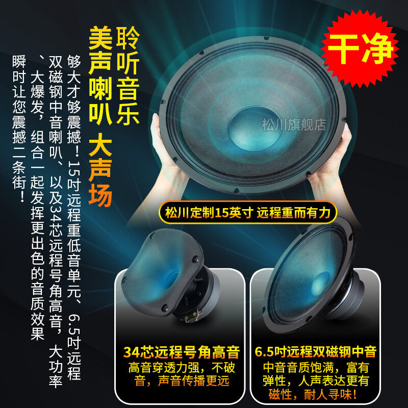 山水(SANSUI)升级松川SG3-10户外音响广场舞音箱移动拉杆舞台专业音箱大功率无线蓝牙话筒木质音响10英寸高清大图