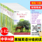 A8 胡桃夹子 初中通用 [正版]黑猫中学英语分级阅读 中学ABCDE级123456789101112册 初一初二初三七