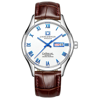 瑞士嘉年华CARNIVAL全自动机械表 男表休闲时尚手表防水真皮表带腕表男士手表双日历显示金属精钢金色表壳8623G