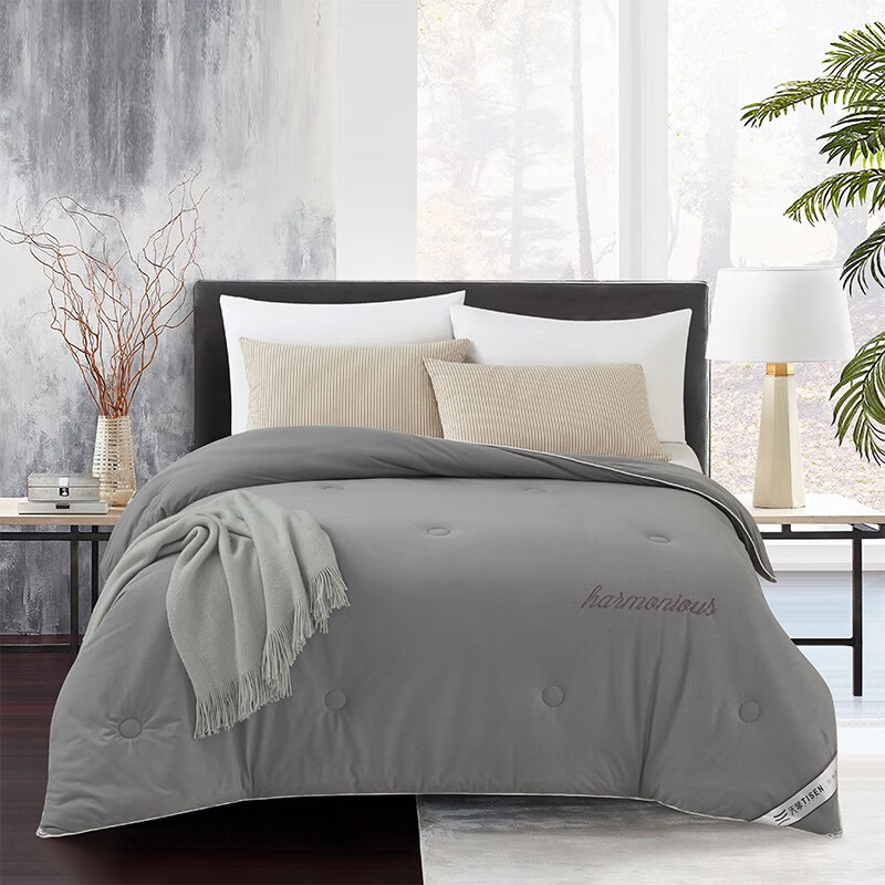 天琴德绒蓄能被 200x230cm