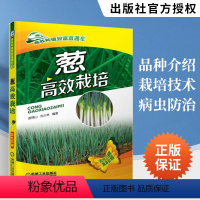 【正版】葱高效栽培 栽葱技术书从入门到精通 分葱高效栽培技术 大葱种子生产技术 大葱病虫害诊断与防治技术 科学种从大防