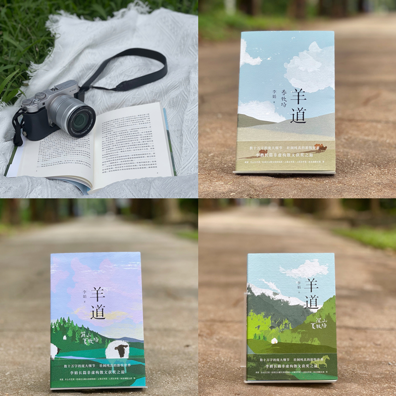 羊道三部曲 [正版]羊道三部曲 春牧场/前山夏牧场/深山夏牧场 李娟经典散文集 遥远的向日葵地我的阿勒泰记一忘三二现当代高清大图