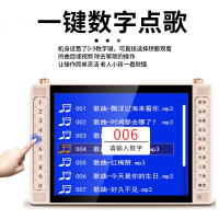 金正(NINTAUS)老人看戏机大屏幕便携式手提移动电视老年人唱戏机视频播放器广场舞音响 22英寸普通版