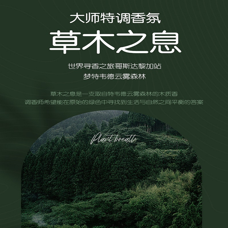 YND10810(袋装)阳光森林洗衣凝珠(8g)10颗(草木之息)-2023升级版