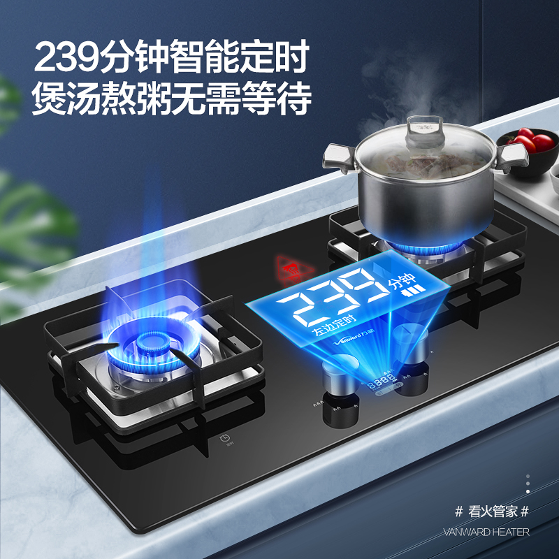 万和(Vanward) 一级能效天然气燃气灶JZT-T5L95 定时灶5.0kW大火力 台式嵌入式燃气灶 钢化玻璃面板