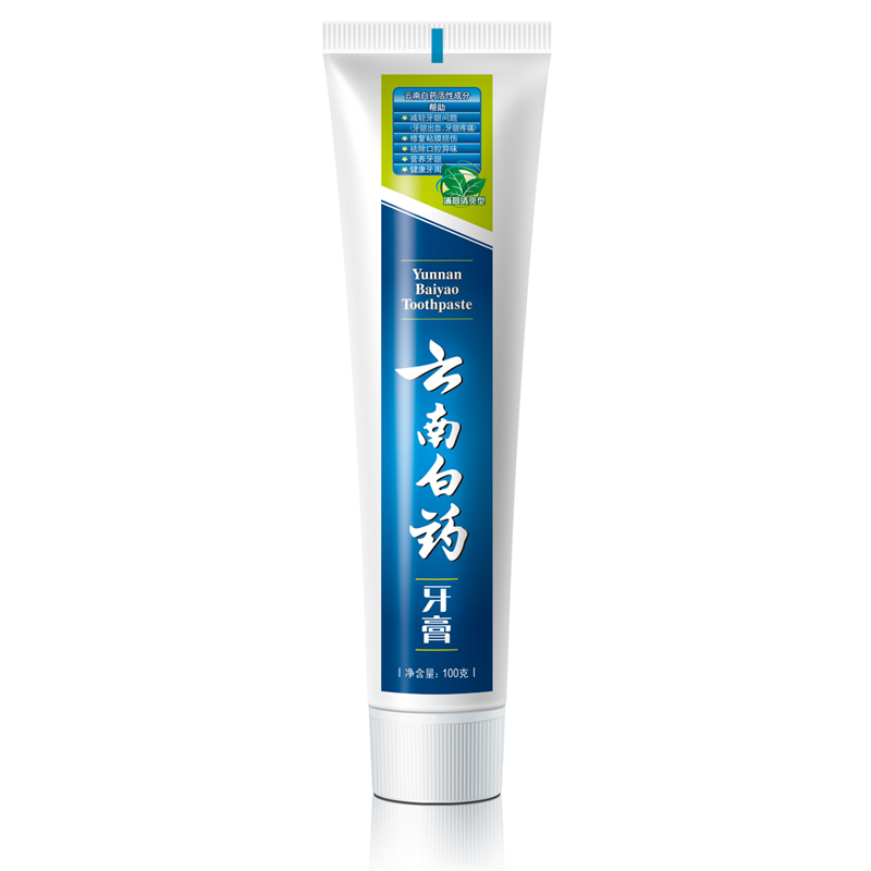 云南白药(YUNNAN BAIYAO)薄荷牙膏 100g/支 (QZZS)