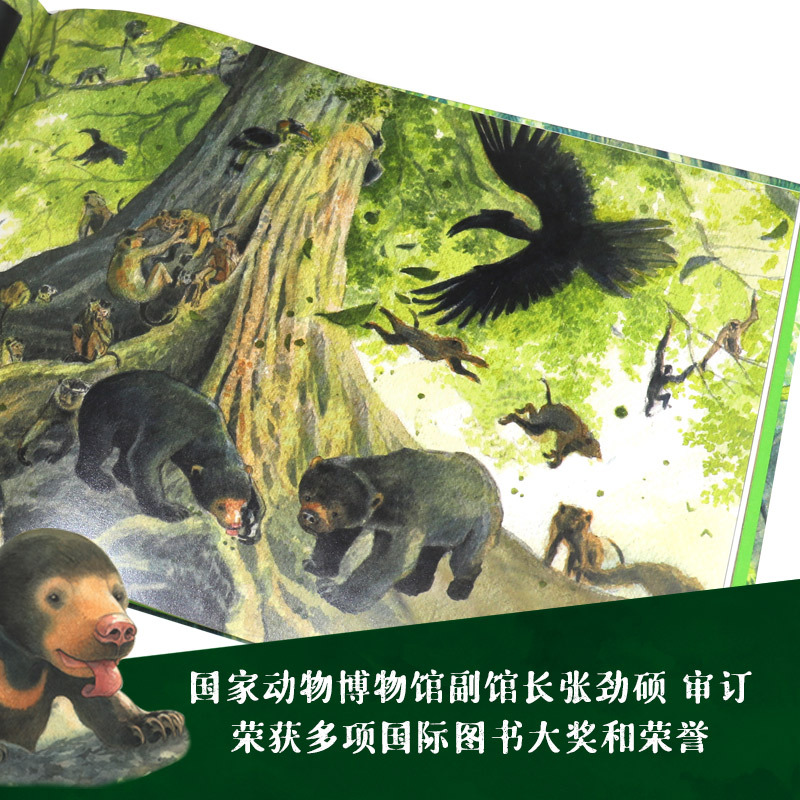 常与小熊+寻找维尼套装2册 [正版]常与小熊 新京报年度阅读 阮庄著卡内基插画大奖小学生环保故事保护环境动物励志暖心绘本