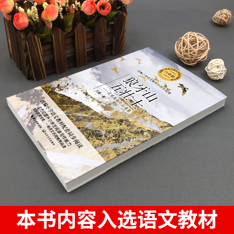 六年级书单-竹节人 [正版]狼牙山五壮士 书籍 沈重/著 六年级必读课外书 语文教科书同步阅读书系读书小学生经典读物青少