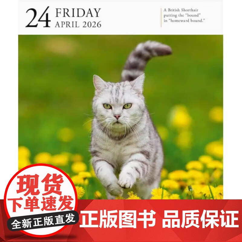 2026年画廊日历 猫咪 Workman Calendars 著 生活方式高清大图