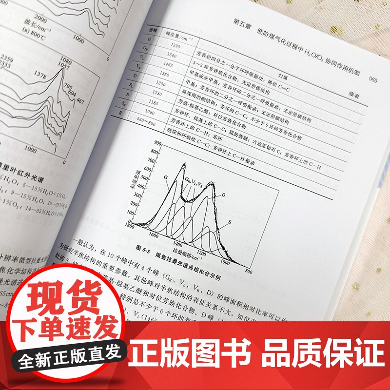 复合气氛下低阶煤气化特性及工业应用 H2O O2 CO2复合气氛下协同作用宏观特征 作用方向 煤化工领域反应器开发技术人高清大图