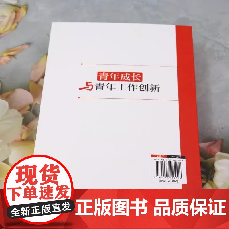 [央视网]青年成长与青年工作创新 新时代团支部规范化工作一本通共青团组织换届选举 团务知识与规范化工作流程彩色图解版 R高清大图