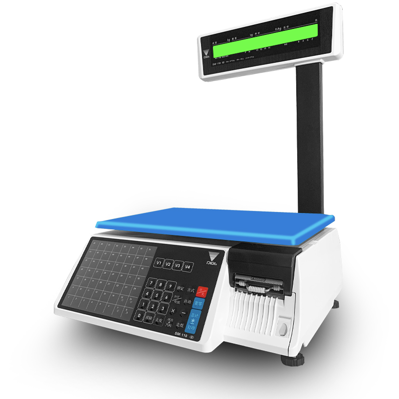 寺冈DIGI 标签秤SM-110 条码秤 支持打印功能 30kg 货期15天 维保1年高清大图