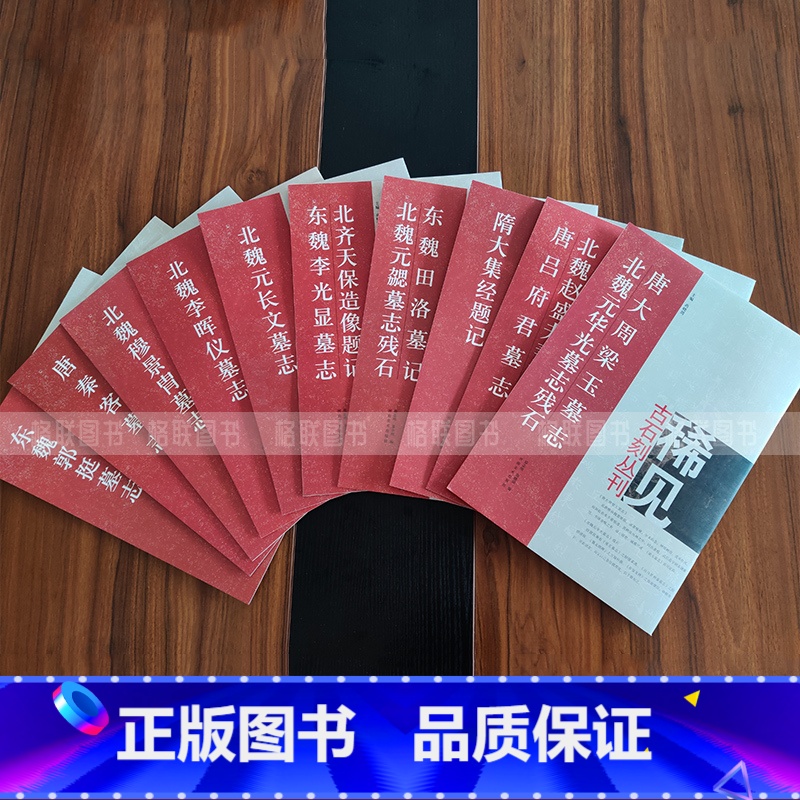 [正版]全10册稀见古石刻丛刊第一辑唐秦客墓志北魏穆景胄墓志赵盛夫妻李晖仪元长文墓志东魏田洛墓记郭挺墓志北齐