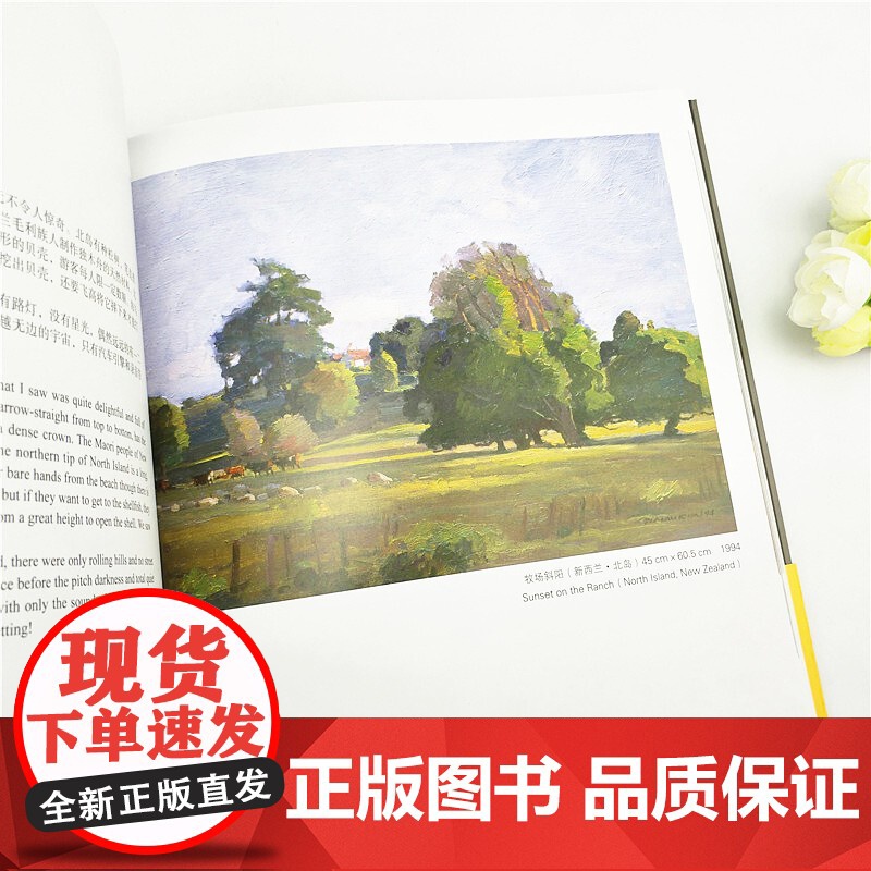风景手帖名家画室 冉茂芹著 画手绘技法教程基础自学入门美术教材 零基础学油画绘画 风景画临摹色彩印象派西方经典美术油画书高清大图