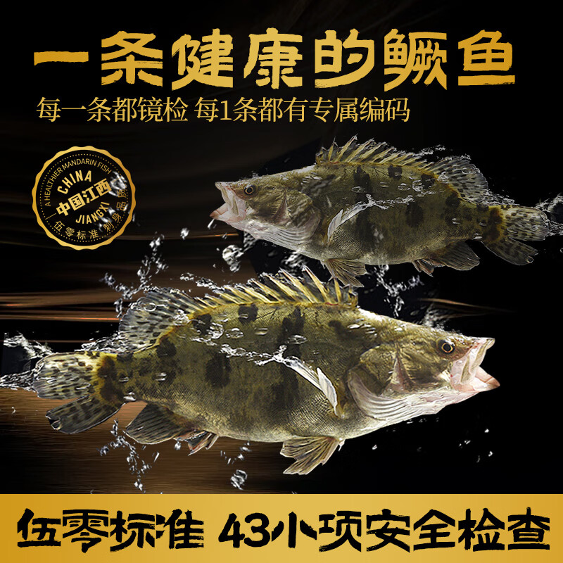 赣鳜伍零冰鲜鳜鱼 598型(500g*2条、300g*1条)