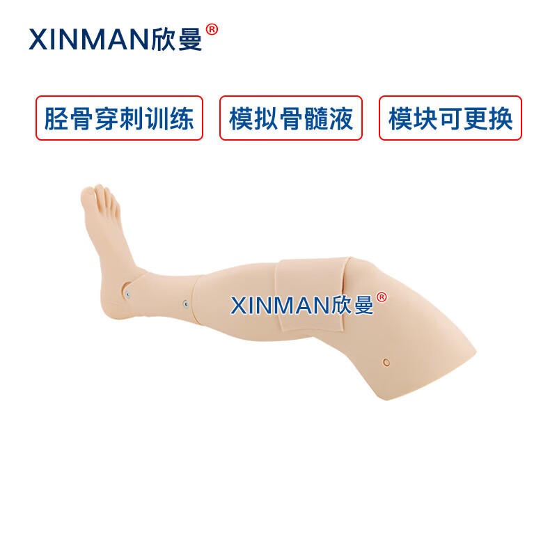 欣曼科教 胫骨穿刺训练模块 成人胫骨骨内穿刺输液训练模型XM-GC3高清大图