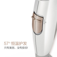 飞利浦（PHILIPS）电吹风机 HP8203 家用大功率恒温负离子冷热风护发电吹风筒