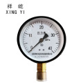 祥屹+压力表检测定制型+Y100+块 0-40Mpa