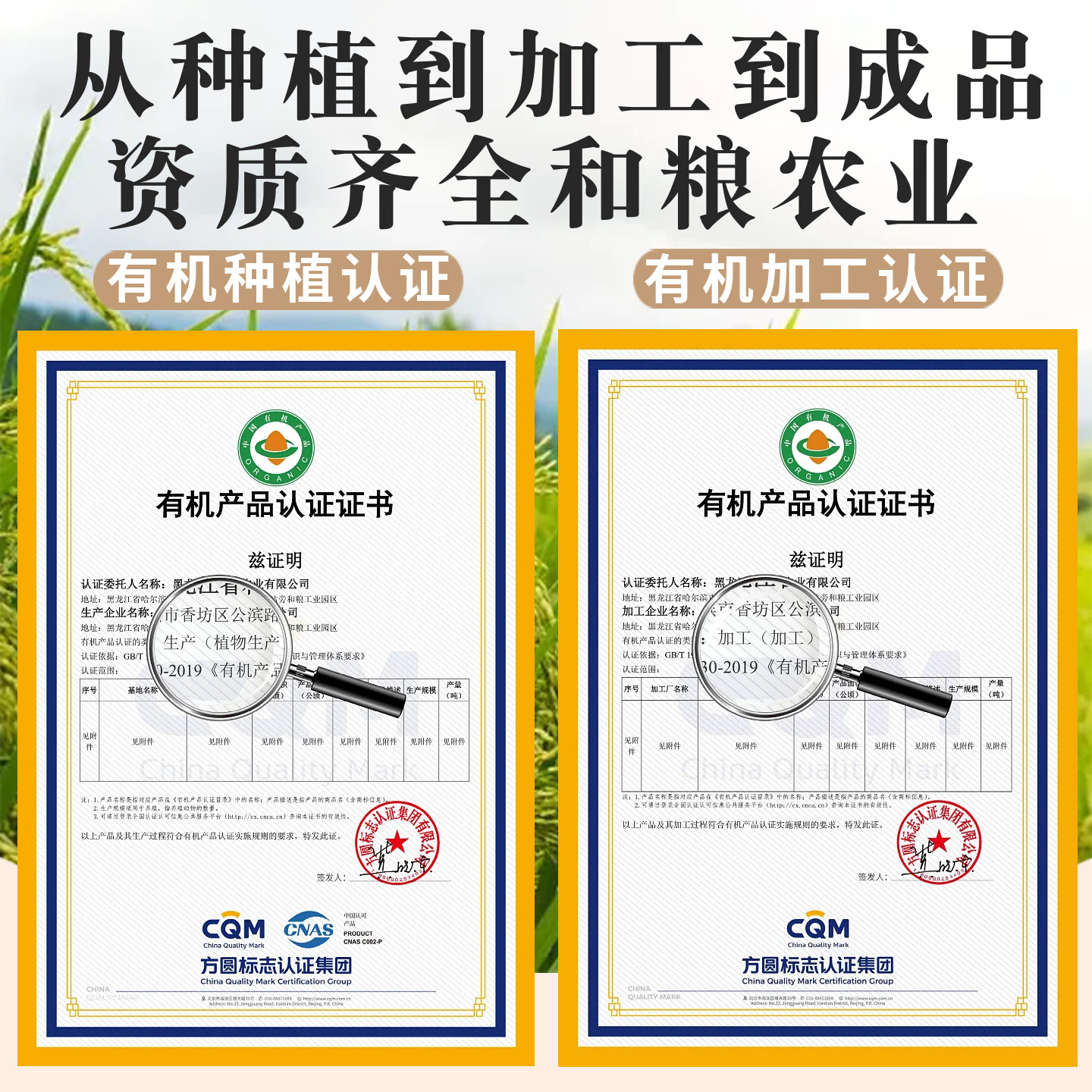 和粮有机糙米440g东北新米五谷杂粮粗粮饭糙米粥米代餐饭团糙米饭高清大图