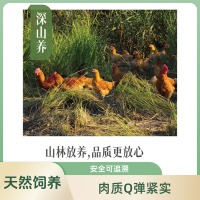 苏宁宜品推荐武夷一方田土鸡农家散养跑地鸡走地鸡新鲜现杀高品质净膛跑山土鸡整鸡净重2.3斤