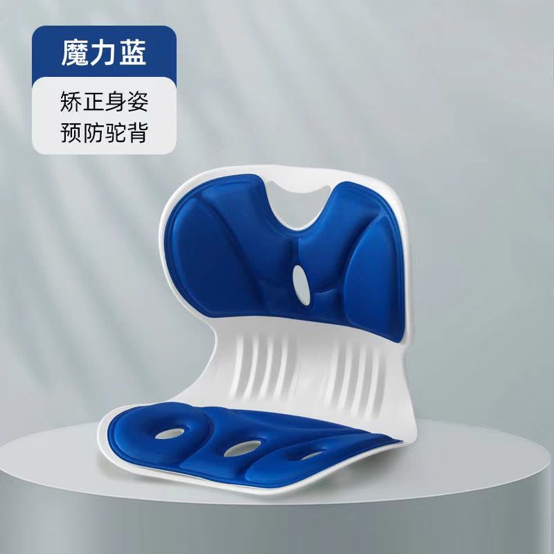 浩博时代 人工力学护腰靠坐垫 42*31*36CM 个(蓝色 42*31*36CM 42*31*36CM)图片