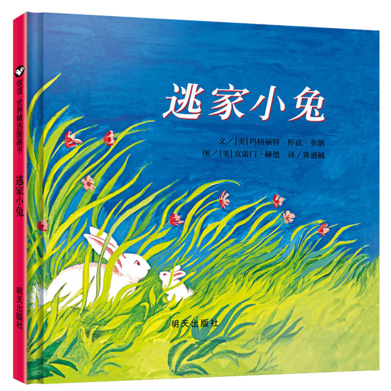 花婆婆 [正版]花婆婆课外书二年级绘本精装硬壳皮3-6岁幼少儿童宝宝睡前早教启蒙图画故事书籍小学生一二三年级阅读课外非注高清大图