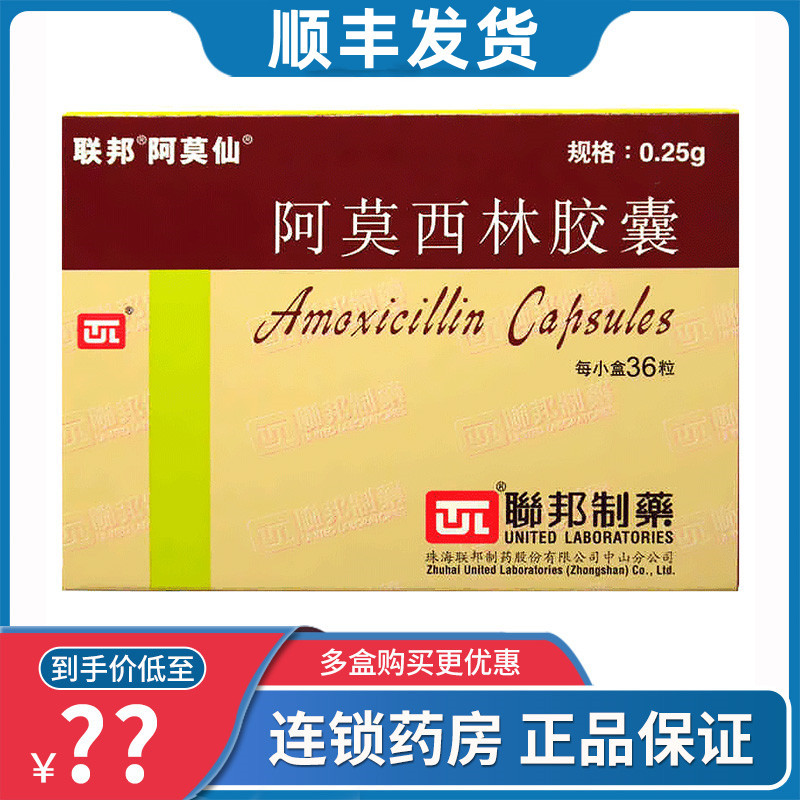 阿莫西林胶囊025g36粒盒中耳炎鼻窦炎咽炎扁桃体炎支气管炎消炎药1