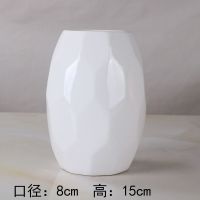 水培陶瓷花瓶客厅家居现代简约干花鲜花水养插花瓶摆件|圆形白色小号