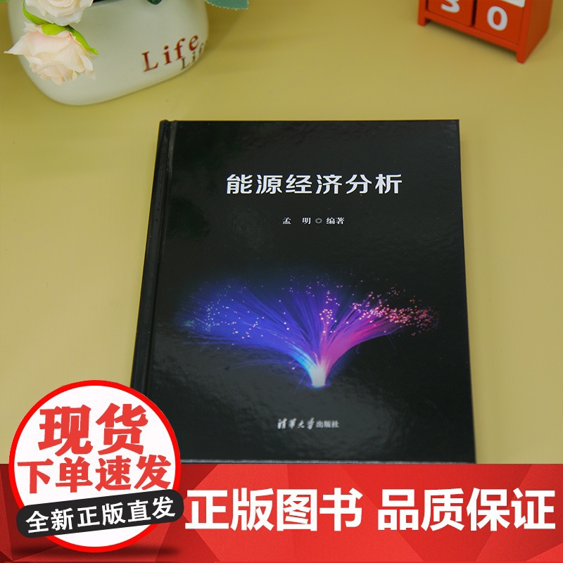 [正版新书]能源经济分析 孟明 清华大学出版社 信息分析方法高清大图