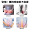 [3盒装]宝元堂腰椎部位型冷敷凝胶腰椎间盘突出腰肌劳损辅喷雾剂大药房