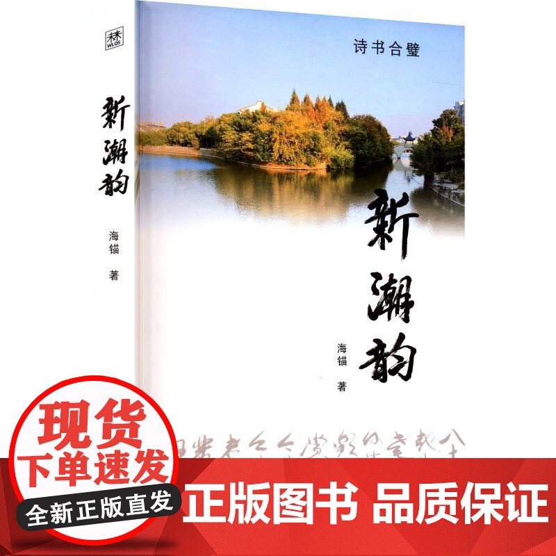 新潮韵 海锚 著 中国现当代文学 文学 云南民族出版社高清大图